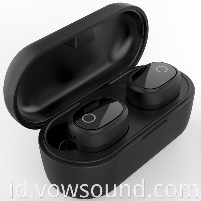 True Wireless Earbuds with Microphone